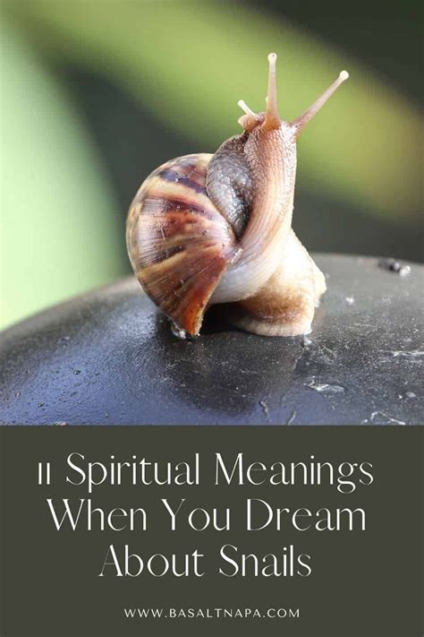 snail meaning spiritual|Snail Spiritual Meaning: An Exploration of Its Symbolic Significance.